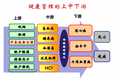 夏萌專家分享 健康管理與營養醫學經驗之談，顛覆你的思維！