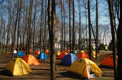 帶孩子去野營吧，幫助他找到真正的自己