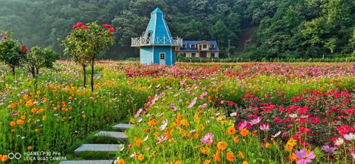 喜迎國慶，霍山精品旅游線路與露營地服務全攻略